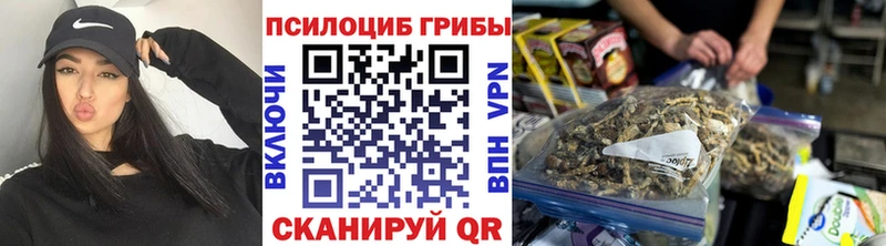 Галлюциногенные грибы Magic Shrooms  Купить где  Валдай 